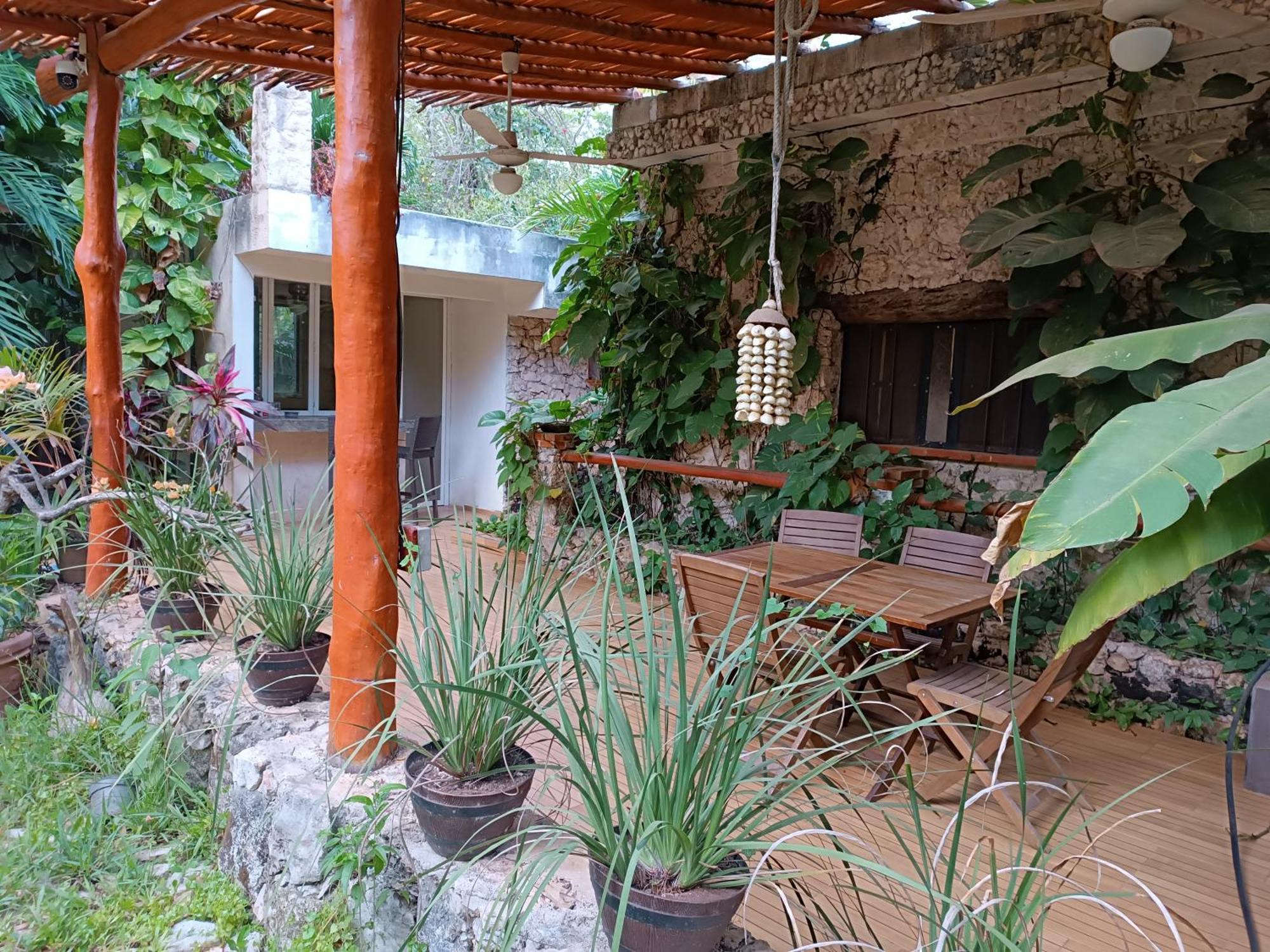 Jungle Aeropuerto Homestay Cancun