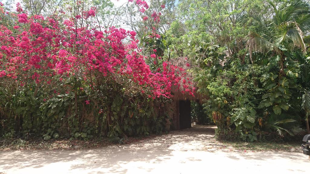 Homestay Jungle Aeropuerto Cancun
