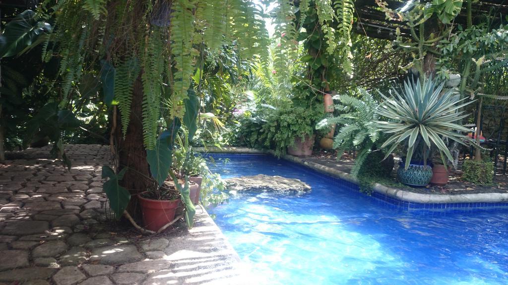 Jungle Aeropuerto Homestay