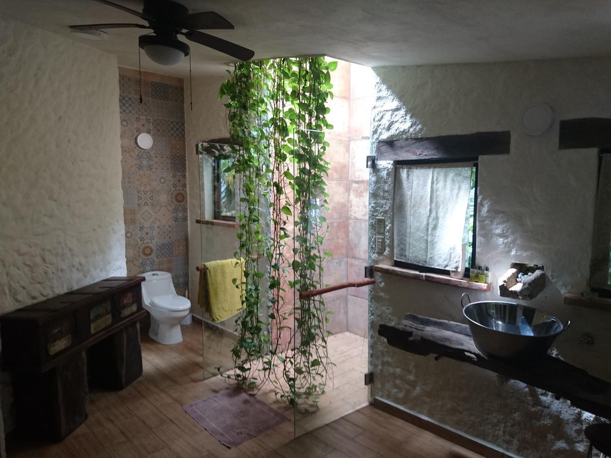 Jungle Aeropuerto Homestay *