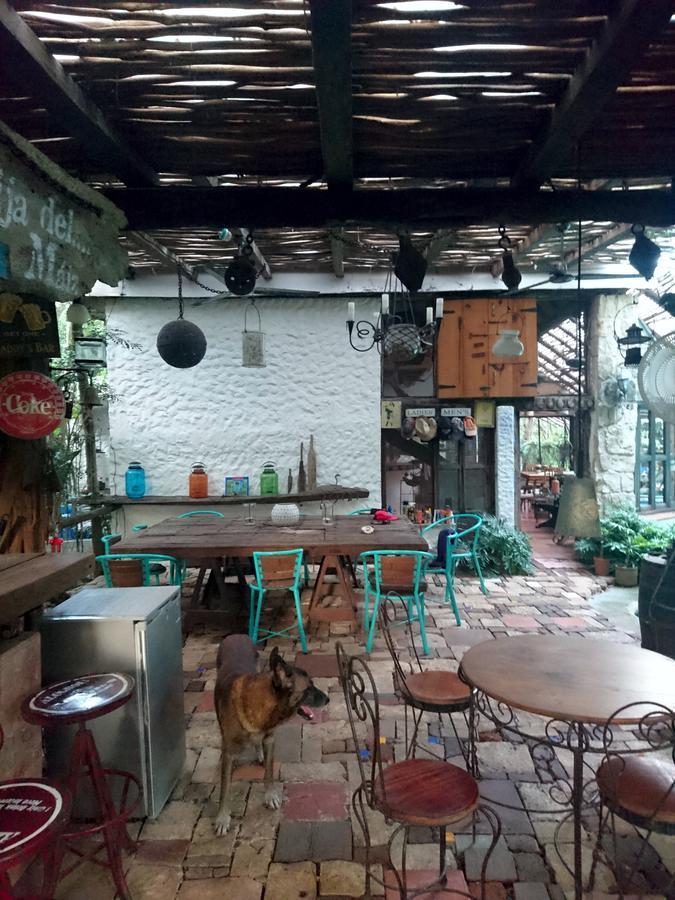 Jungle Aeropuerto Homestay *