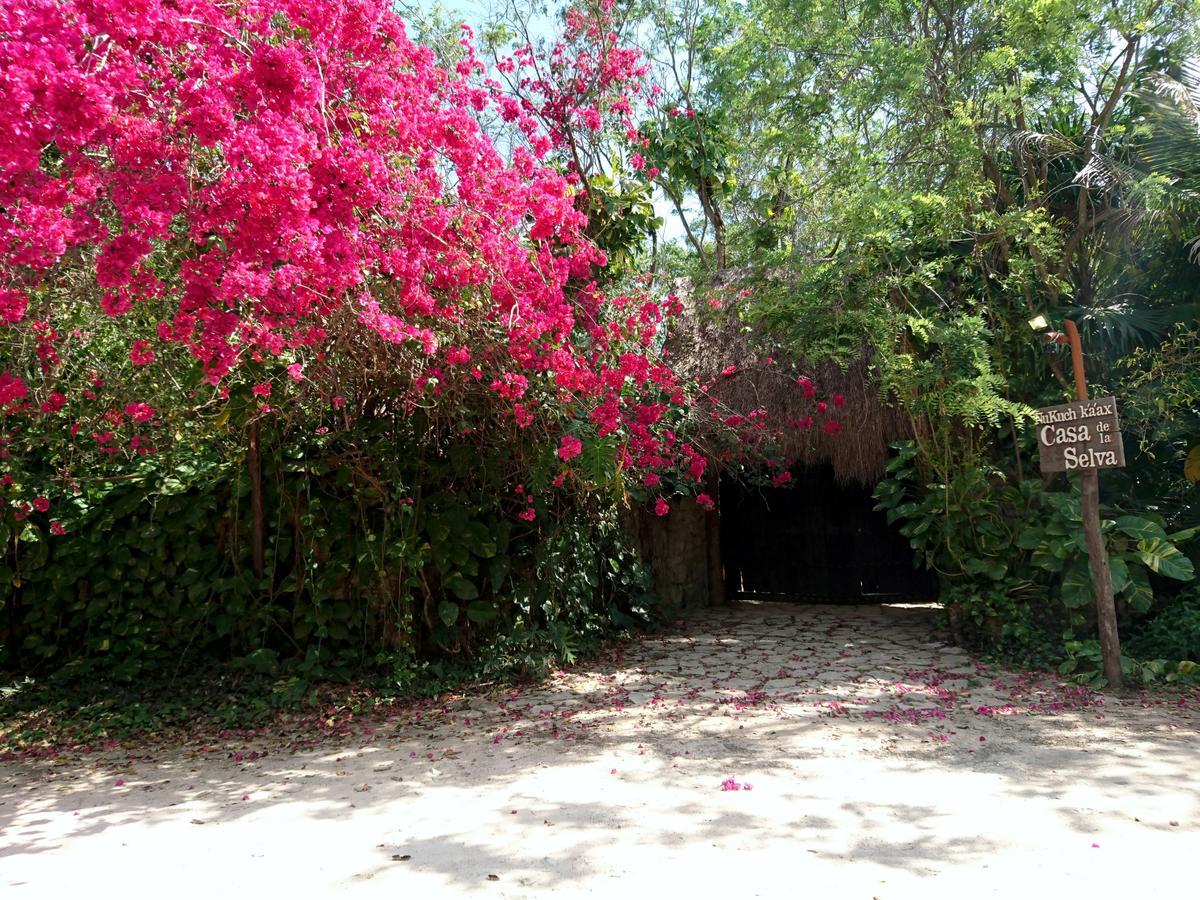 Homestay Jungle Aeropuerto Cancun